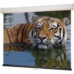Draper Group Ltd DR116399, Projection Screen