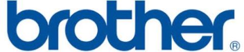 Brother LM5165001 Roller Holder Assembly, HL 5240, 5250, 5280 - Genuine
