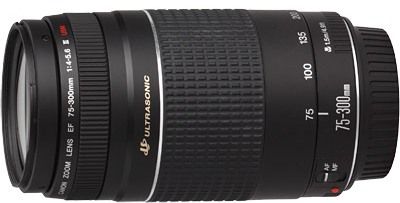 Canon EF75-300mm f/4.0-5.6 USM III Lens