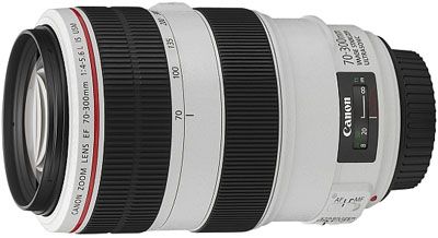 Canon EF 70-300mm f/4-5.6L Is Usm Lens