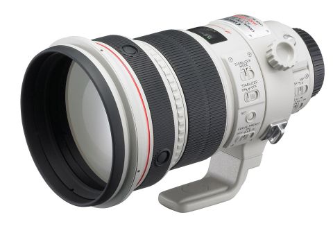 Canon EF 800mm f/5.6L Is Usm Lens