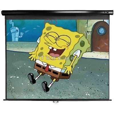  Elite PM150VT PowerMAX Pro Series Projection Screen