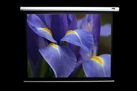 Elite VMAX180XWH-PLUS2 Electric VMax  Projection Screen