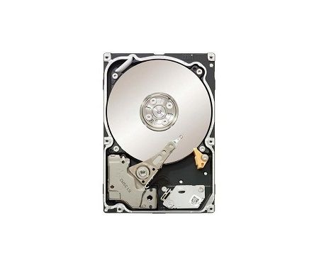 Ernitec HDD-1000GB, Internal Hard Drive