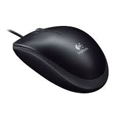 Logitech 810-001317, B110 Optical USB Mouse 