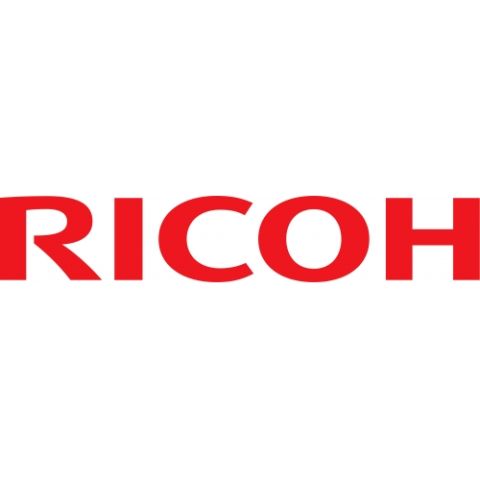 Ricoh AA012131 Developer Filter, 1035, 1045, 2035, 2045, 3035, 3045 - Genuine